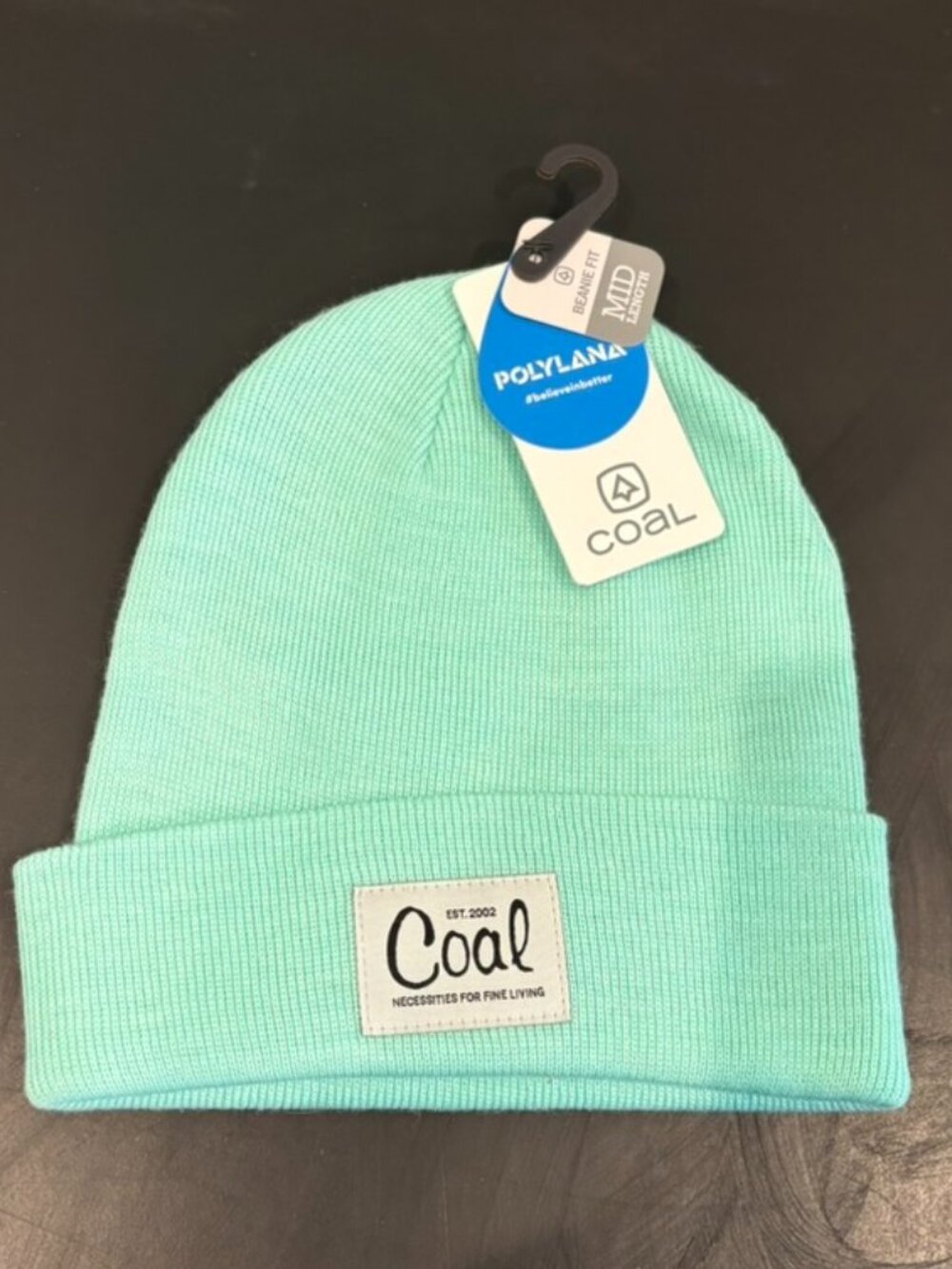 Coal The Mel Beanie Mint Green Knit Cuff Winter Hat NWT New One Size